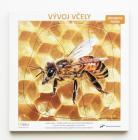 Pětivrstvé výukové puzzle Vývoj včely 